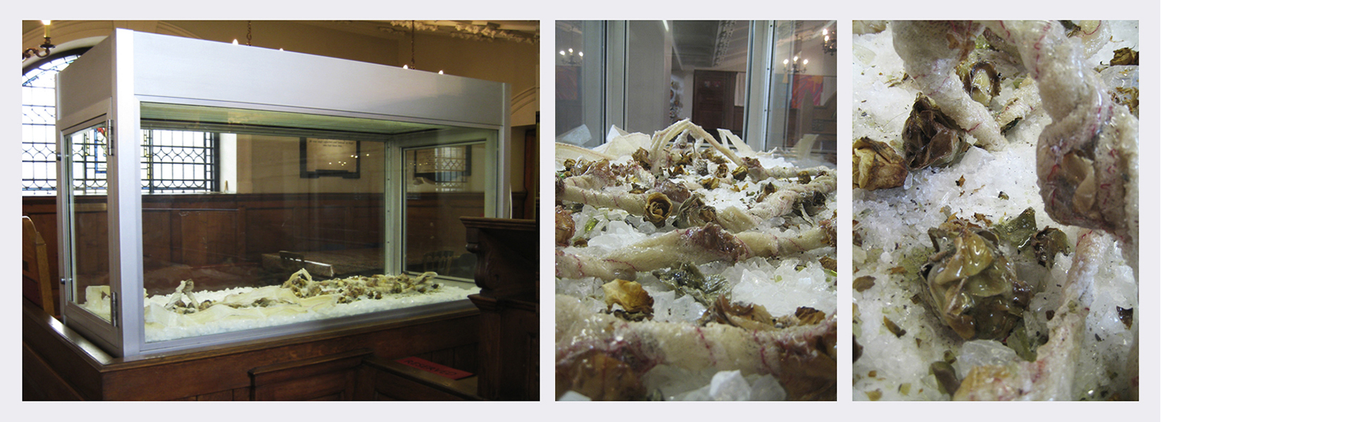 Sleeping Beauty  (2007)   (76cm (w) x 92cm (h) x 152cm (l))   Glass case  /  dust  /  aged white roses  /  bandages  /  glass wax  /  thread.
